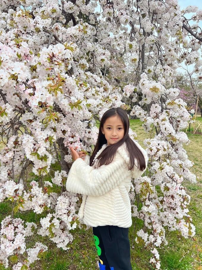 Ái nữ 8 tuổi của Hà Kiều Anh: Nhan sắc tiểu mỹ nhân, học cưỡi ngựa từ nhỏ-7