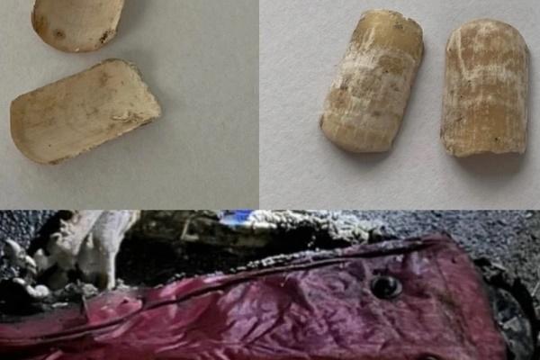 Nữ sát nhân lĩnh 759 năm tù nêu lý do giết hàng chục bà lão-2