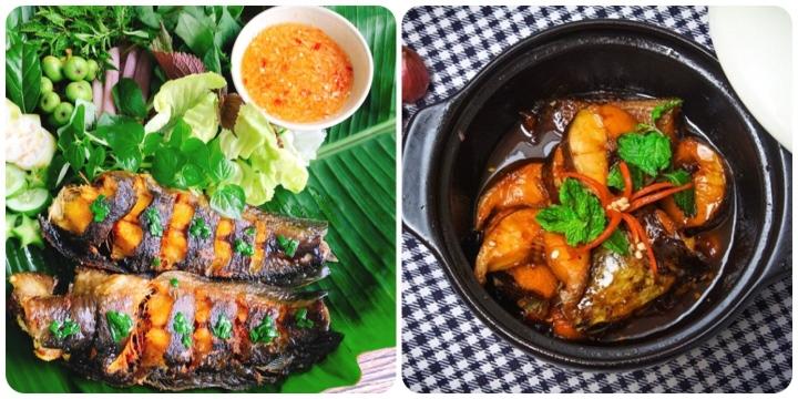 Ăn cá trê có tác dụng gì?-1