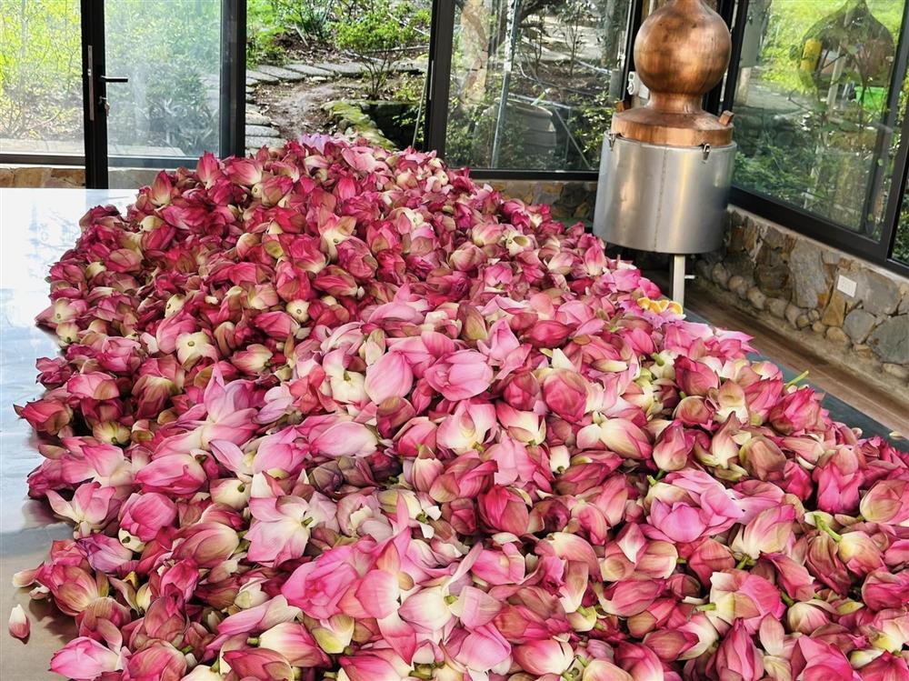 Thảm cảnh khủng khiếp mùa mất điện-3