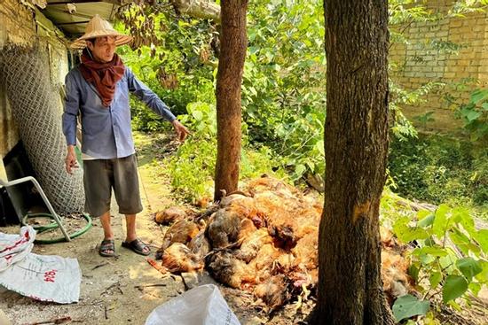 Thảm cảnh khủng khiếp 'mùa mất điện'