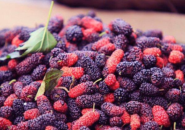 Các loại trái cây giúp giảm cân mùa hè-3