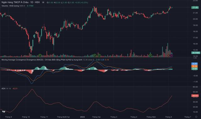 Tài sản Chủ tịch Trần Hùng Huy ra sao sau màn nhảy múa dưới mưa gây sốt?-2