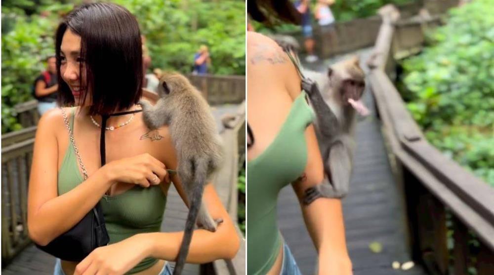 Người đẹp Hàn Quốc gặp sự cố khi mặc áo dây đi thăm khỉ ở Bali-1