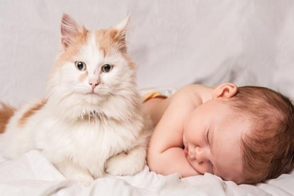 Ý nghĩa tên Nhật Minh-2