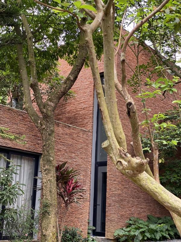 Tuổi 63 của NSƯT Xuân Hinh: Ít tham vọng, nhẹ nhàng buông bỏ-3