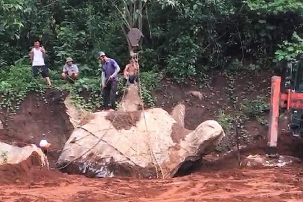 Xôn xao tảng đá hình con rùa được trả giá 1 tỷ đồng ở Nghệ An-1