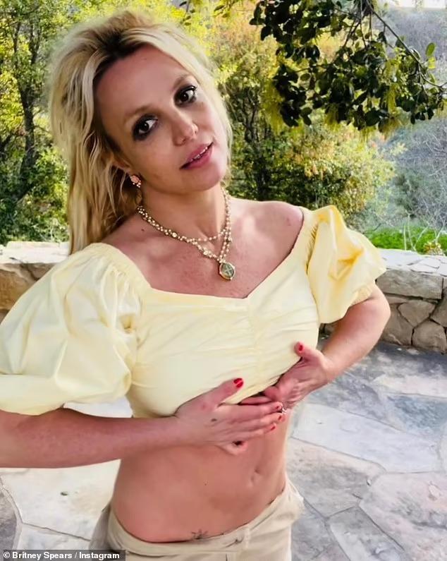 Britney Spears tan nát cõi lòng khi bị con bịa chuyện tái nghiện-1
