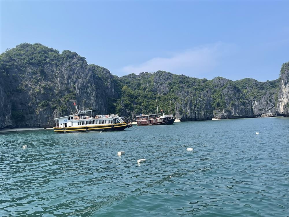 Rác lại trôi nổi đầy trên vịnh Hạ Long, khách du lịch nhìn mà choáng-1