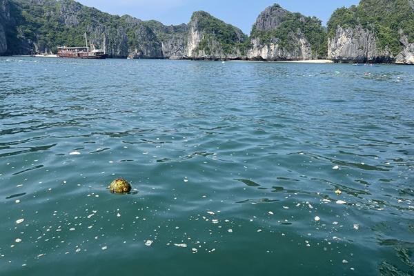 Tour nước ngoài bùng nổ vì xuất ngoại còn rẻ hơn du lịch trong nước-3