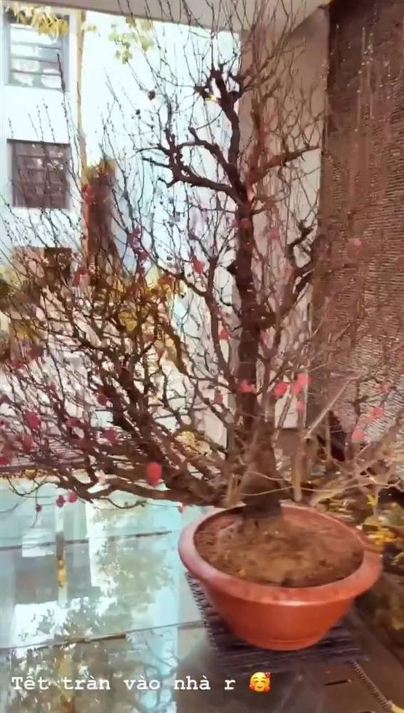 Phu nhân tập đoàn nghìn tỷ hiếm hoi tiết lộ góc biệt thự xa hoa-5