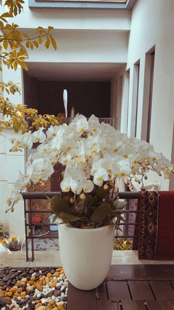 Phu nhân tập đoàn nghìn tỷ hiếm hoi tiết lộ góc biệt thự xa hoa-7