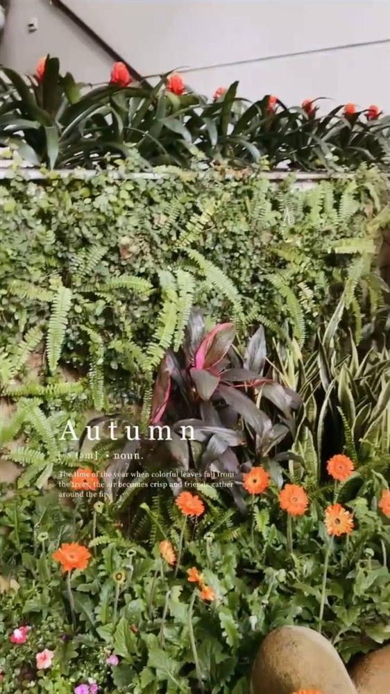 Phu nhân tập đoàn nghìn tỷ hiếm hoi tiết lộ góc biệt thự xa hoa-8