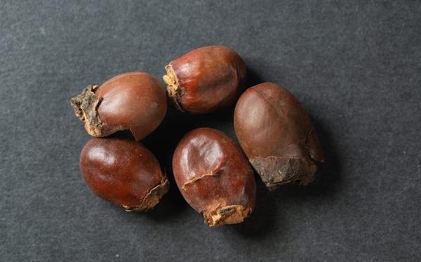 Loại hạt tưởng chừng bỏ đi lại cực tốt cho sức khỏe-2