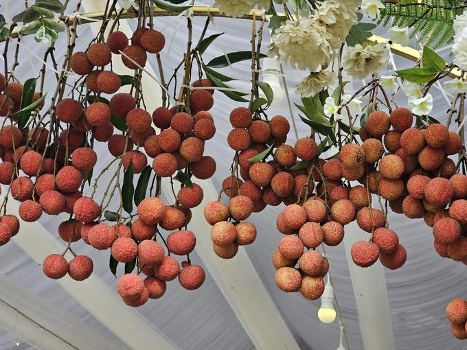 Cô dâu Bắc Giang dùng 100kg vải thiều trang trí cổng đám cưới-4