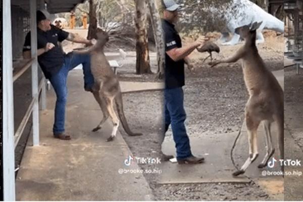 Dù lượn rơi từ trên trời xuống do hỏng động cơ, du khách thoát chết thần kỳ-1