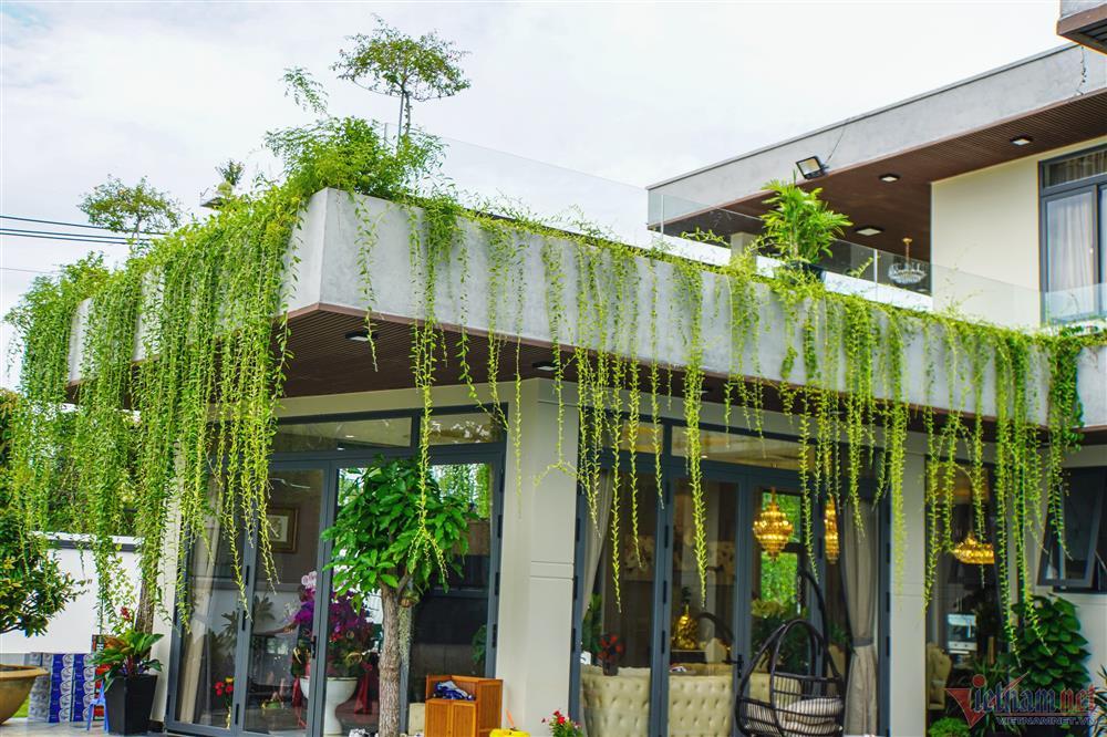 Villa 1.200m2 trị giá 35 tỷ đồng của ca sĩ 5 con Quách Thành Danh-4