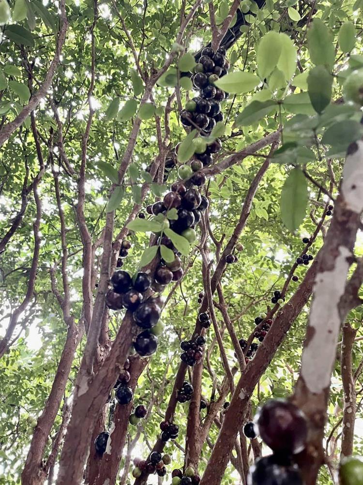 Nhan sắc tuổi 37 của Hoa hậu Nguyễn Thị Huyền-12