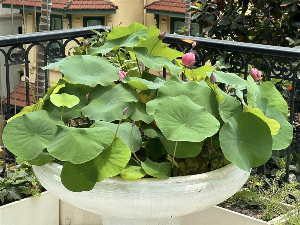 Nhan sắc tuổi 37 của Hoa hậu Nguyễn Thị Huyền-14