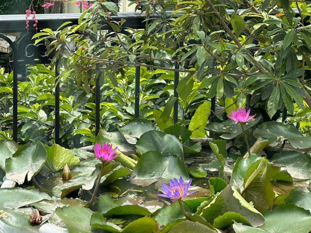 Nhan sắc tuổi 37 của Hoa hậu Nguyễn Thị Huyền-15