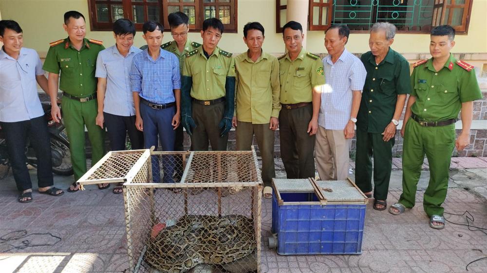 Trăn quý hiếm nặng 32kg bò vào nhà dân ở Hà Tĩnh-2