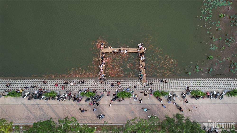 Xuất hiện hồ cá koi 12.000 con mở miễn phí ở Hà Nội, du khách kéo tới check-in-2