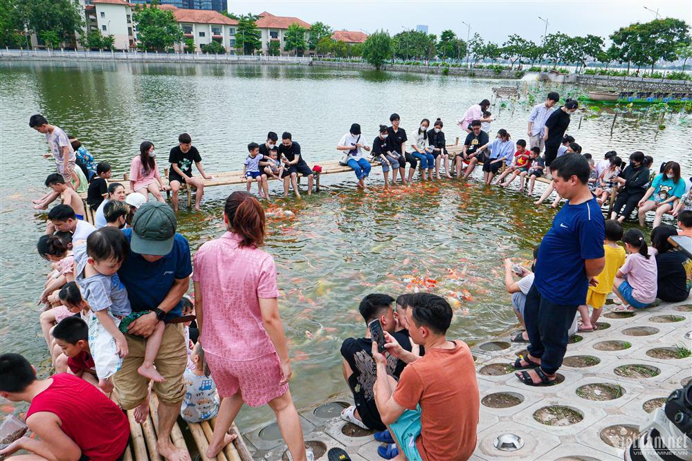 Xuất hiện hồ cá koi 12.000 con mở miễn phí ở Hà Nội, du khách kéo tới check-in-6