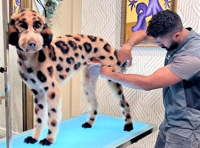 Chàng trai kiếm hơn 30 tỷ đồng/năm chỉ từ 2 cây kéo và một chiếc tông đơ-2