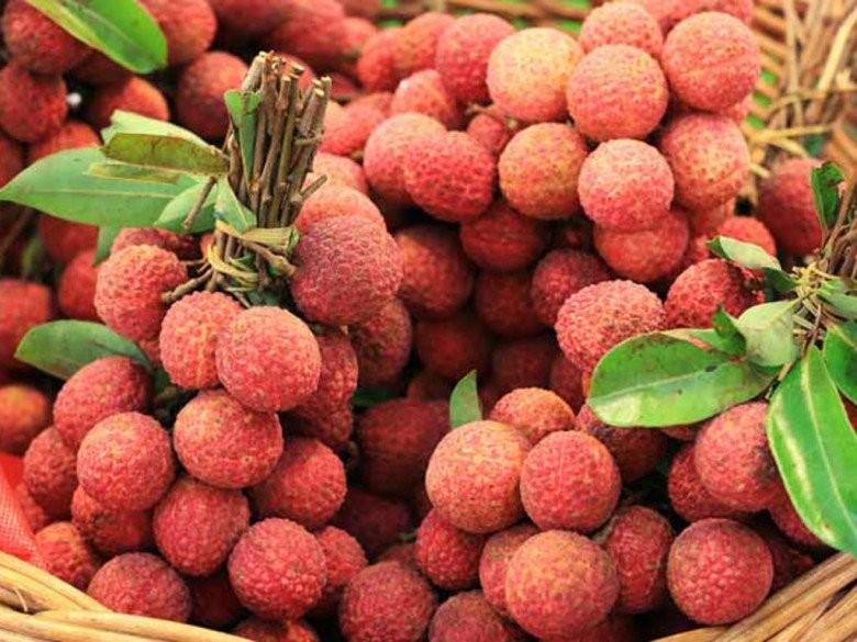 Tết Đoan Ngọ đặt lên bàn thờ 5 loại quả, 6 loại hoa này, gia chủ hưởng lộc, cầu gì được nấy-2