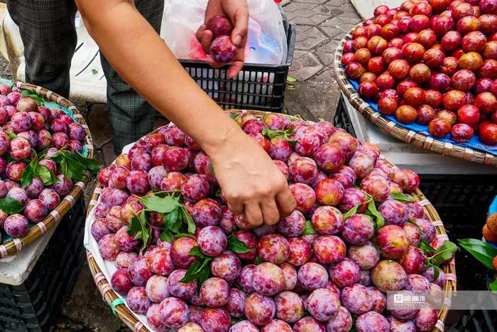 Rượu nếp đắt khách ngày Tết Đoan Ngọ-8