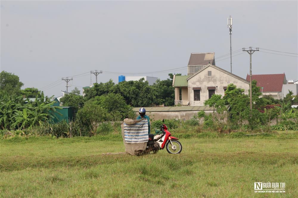 Kiếm tiền triệu mỗi ngày nhờ chạy xe máy săn châu chấu trên cánh đồng-8