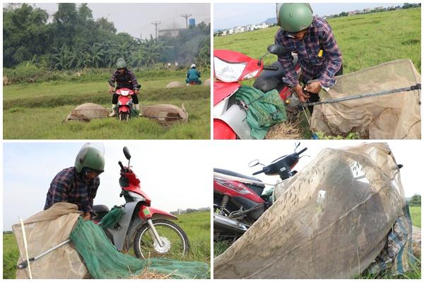 Ăn châu chấu rang, người đàn ông nhập viện khẩn-2