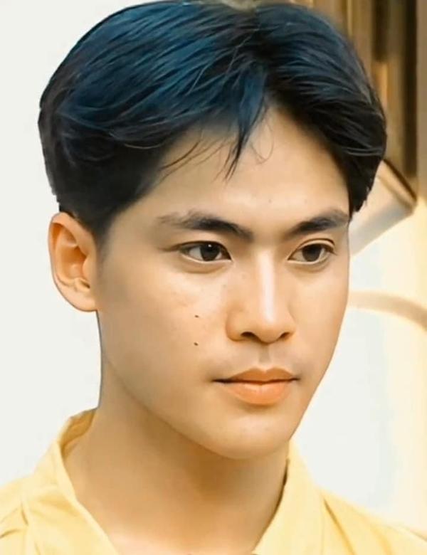 Tài tử Việt từng được mệnh danh kho tàng nhan sắc bây giờ ra sao?-2