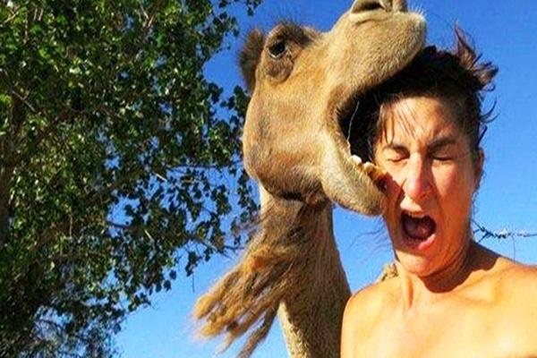 Du khách bị chó hoang cắn khi đang tắm nắng giữa đảo thiên đường-2