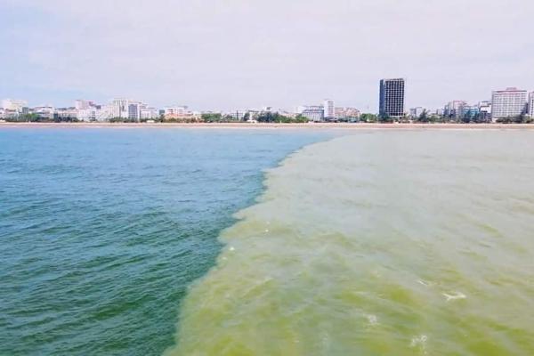 Hòn đảo du lịch ở châu Âu ra luật lạ - cấm điện thoại-3