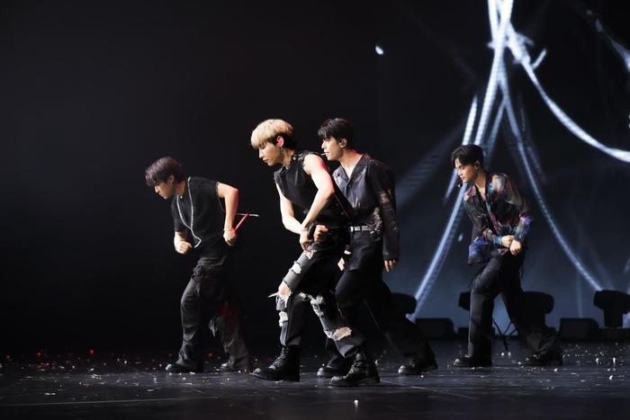 Cựu thành viên Wanna One bất ngờ hiểu tiếng Việt trôi chảy-3