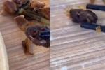 Sự thật đoạn video chuột chễm chệ trên túi bún ở Hà Nội gây xôn xao-2