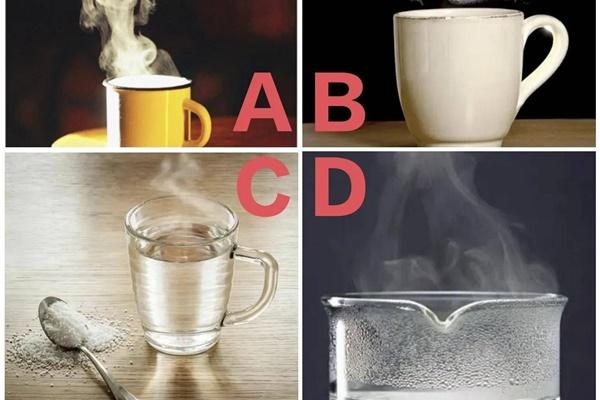 Trắc nghiệm tâm lý: Bạn sẽ chọn món nào cho bữa tối?-2