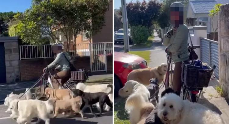 Cô gái đi xe đạp điện dắt theo 7 chú chó gây phẫn nộ-2