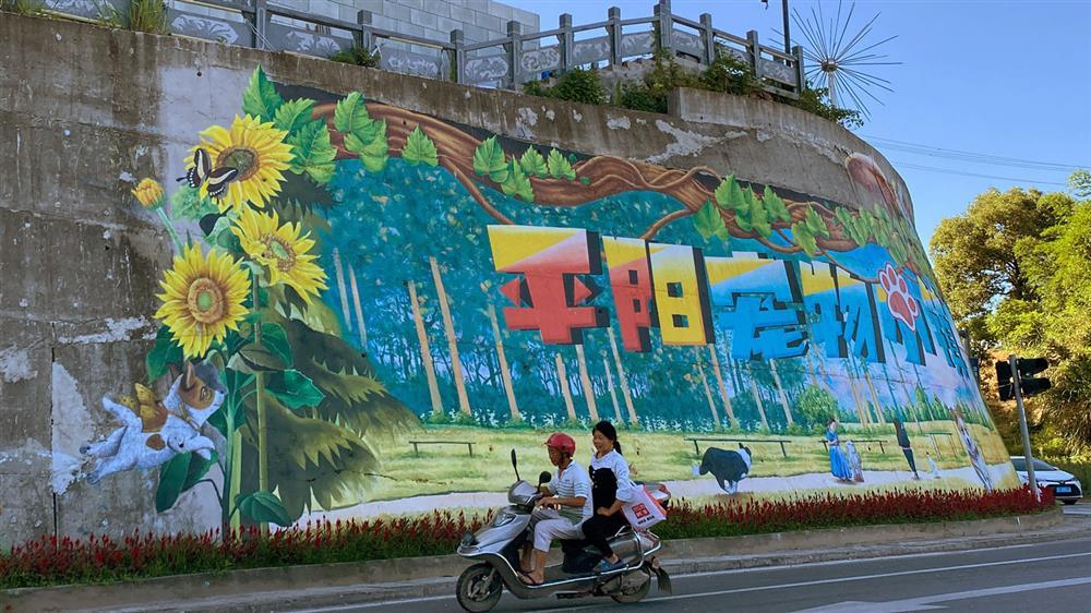 Thị trấn làm giàu từ nghề phục vụ chó mèo trên khắp thế giới-3