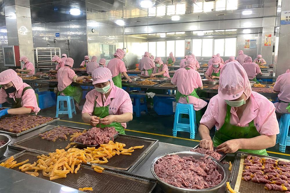 Thị trấn làm giàu từ nghề phục vụ chó mèo trên khắp thế giới-5