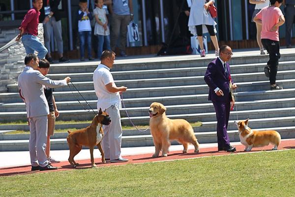 Thị trấn dát đá quý, người dân sống trên 72.000 tấn kim cương-5