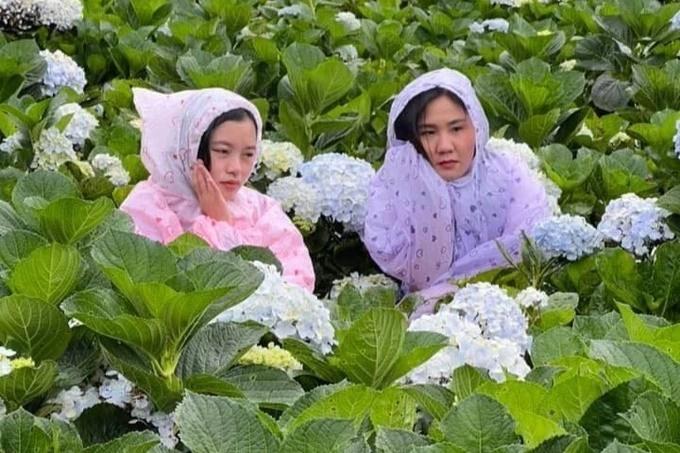 Khách hủy tour vì ảnh Đà Lạt ngập lụt, chủ khách sạn khóc ròng-2