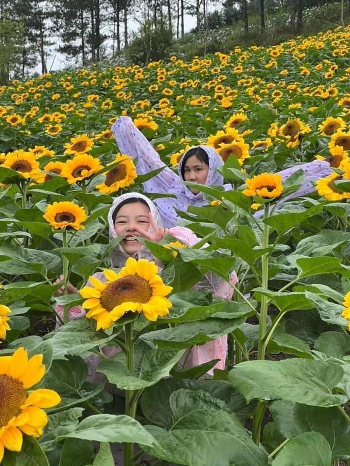 Khách hủy tour vì ảnh Đà Lạt ngập lụt, chủ khách sạn khóc ròng-3