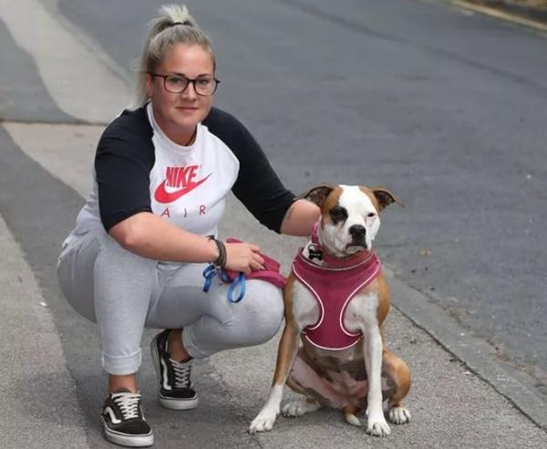 Chú chó nhanh trí cứu chủ nhân thoát nạn khi ô tô chạy hơn 100km/h lao tới-1