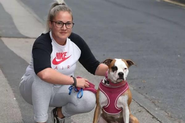 Thấy nhà bị trộm, chú chó làm điều không tưởng khiến ai nấy ngã ngửa, chỉ có kẻ cắp là hài lòng-4