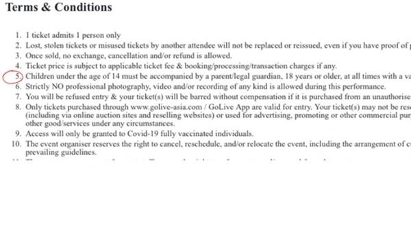 Đêm nhạc BlackPink tại Hà Nội: Thu hút fan ngoại, liệu có giới hạn độ tuổi?-3