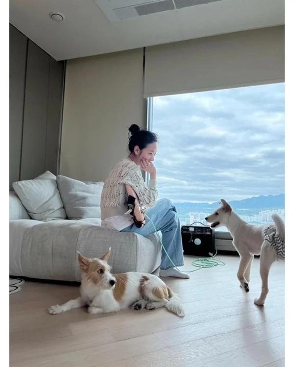 Nhóm nhạc BlackPink sắp sang Việt Nam giàu cỡ nào?-7