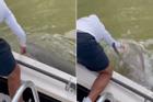 Du khách suýt mất mạng khi bị cá mập cắn tay, kéo xuống nước