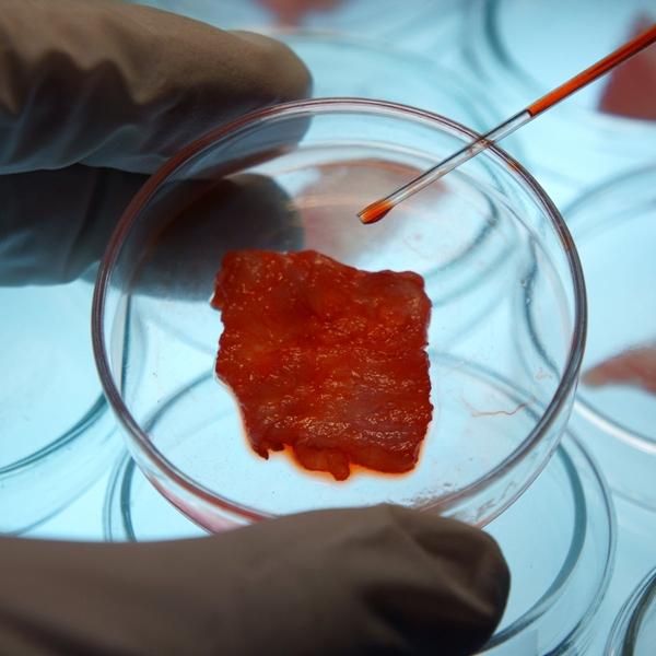 Thịt gà được tạo ra từ công nghệ nuôi cấy tế bào sẽ có hương vị như thế nào?-2